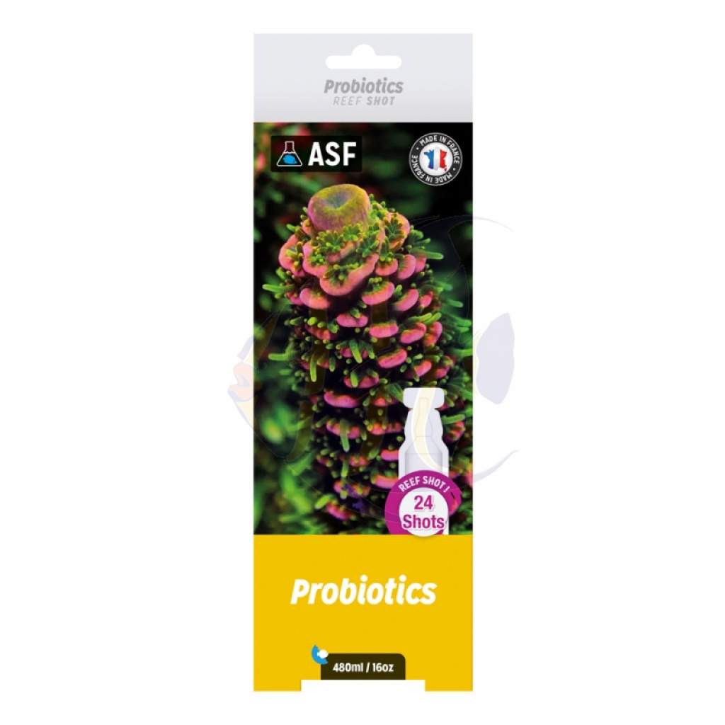 Shots - Probiotics - 24 x 20 ml